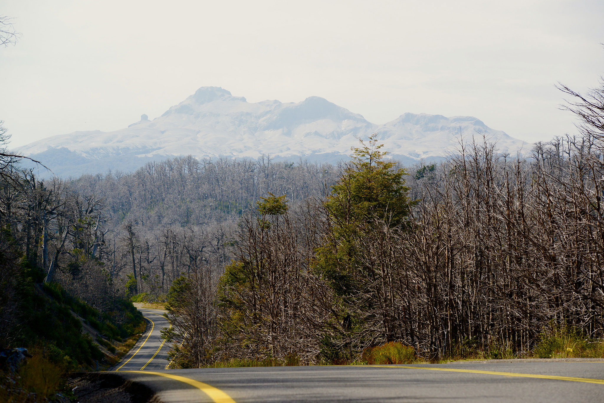 Situé sur le sud de l'Argentine et du Chili, la Patagonie offre des paysages très contrastés.