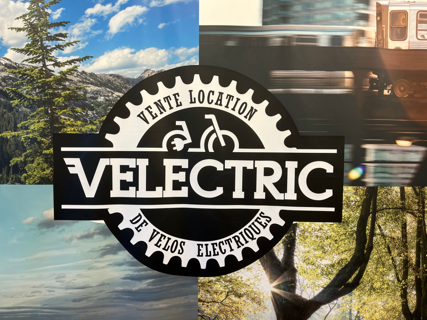 Photo du magasin VELECTRIC